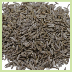 chimen-ColonHelp-seeds